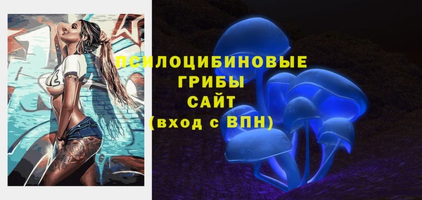гидра Алексин