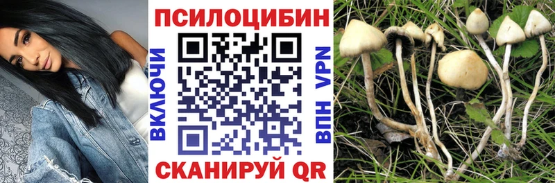 Галлюциногенные грибы MAGIC MUSHROOMS  ссылка на мегу как войти  Сосенский 